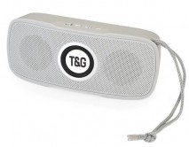 Колонка T&G 515 (серый)