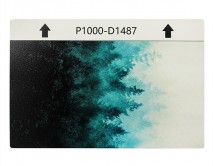 Защитная плёнка текстурная на заднюю часть "Природа" (Лес, D1487), S 120*180mm 